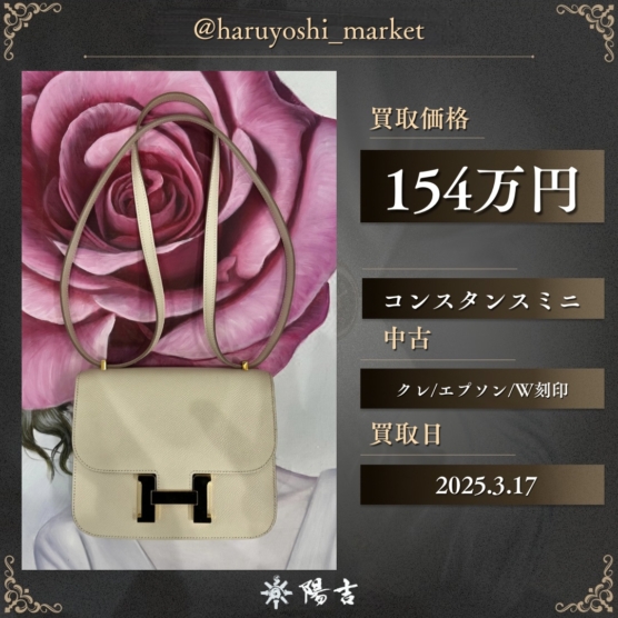 コンスタンスミニ