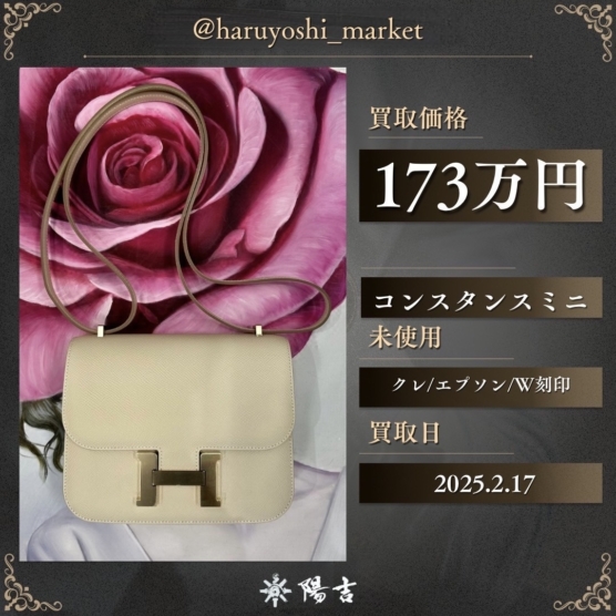 コンスタンスミニ