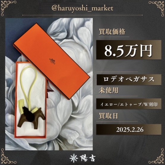 ロデオペガサス