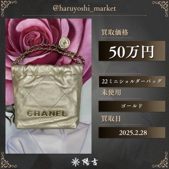 22ミニショルダーバッグ