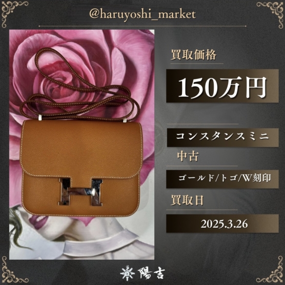 コンスタンスミニ