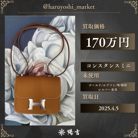 コンスタンスミニ