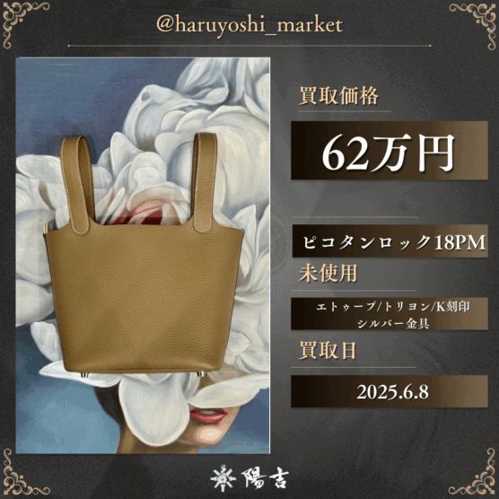 ピコタンロック18PM