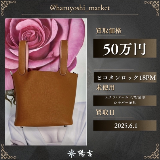 ピコタンロック18PM