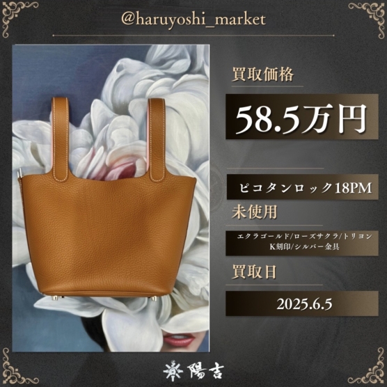 ピコタンロック18PM