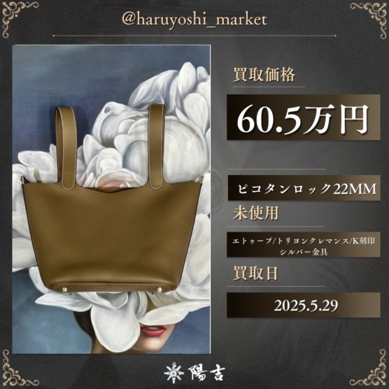 ピコタンロック22MM