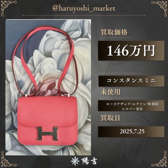 コンスタンスミニ