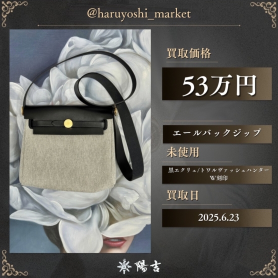 エールバックジップ