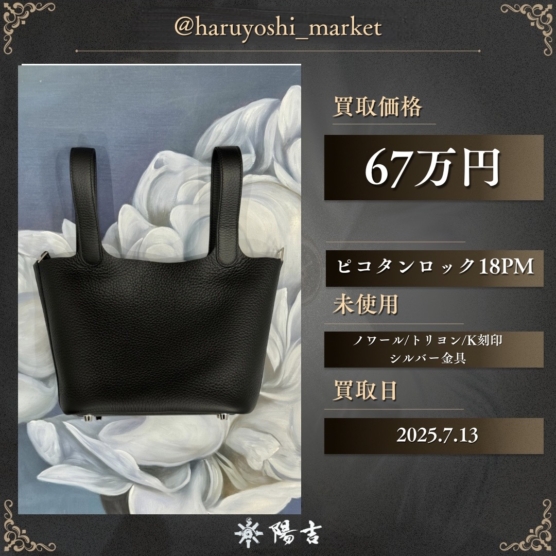 ピコタンロック18PM