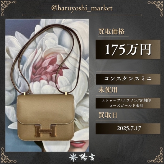 コンスタンスミニ