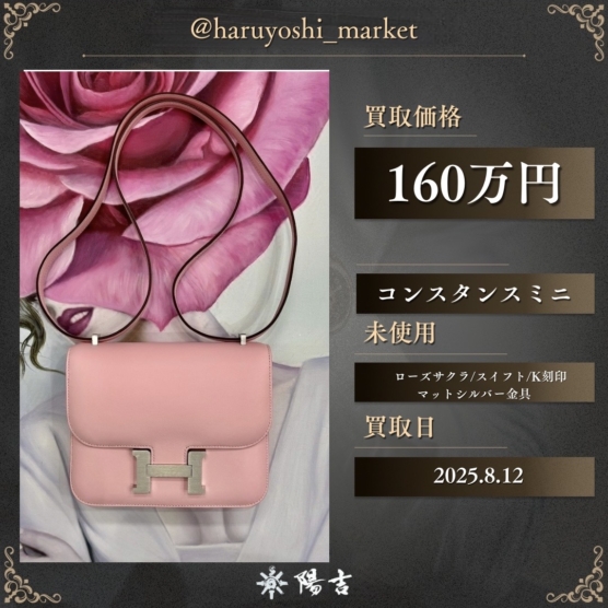 コンスタンスミニ