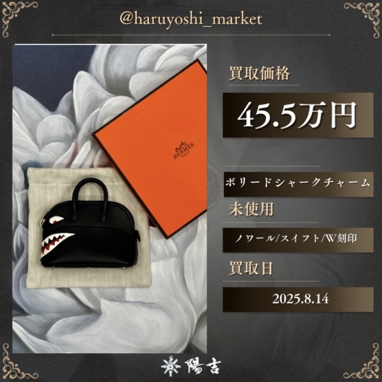 ボリードシャークチャーム