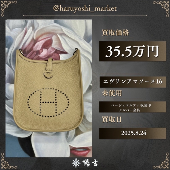 エヴリンアマゾーヌ16